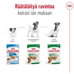 Royal Canin Mini Adult kastikkeessa