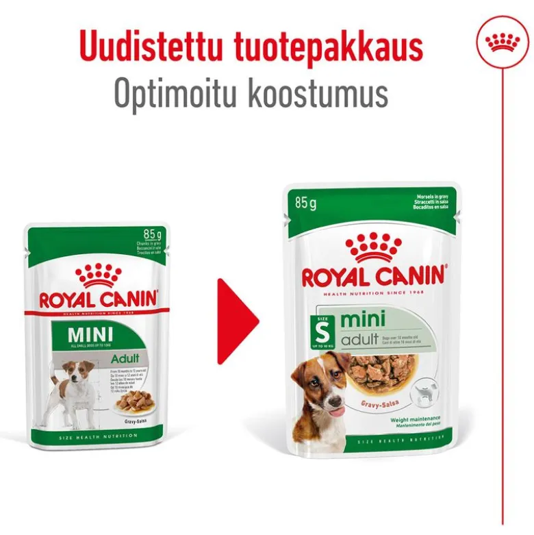 Royal Canin Mini Adult kastikkeessa