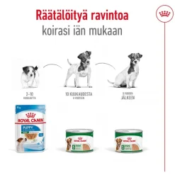 Royal Canin Mini Adult Mousse