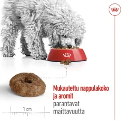Royal Canin Mini Ageing 12+