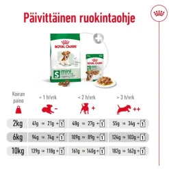 Royal Canin Mini Ageing 12+