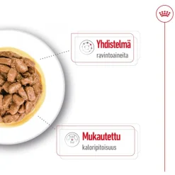Royal Canin Mini Ageing kastikkeessa