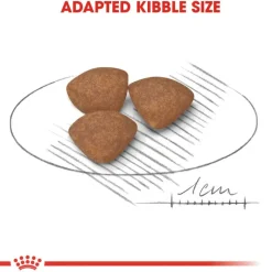 Royal Canin Mini Puppy
