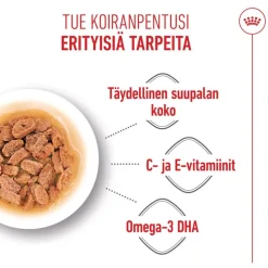 Royal Canin Mini Puppy kastikkeessa