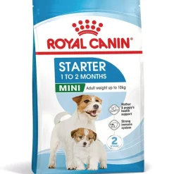Royal Canin Mini Starter Mother & Babydog