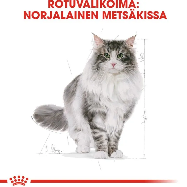 Royal Canin Norwegian Forest Cat Adult