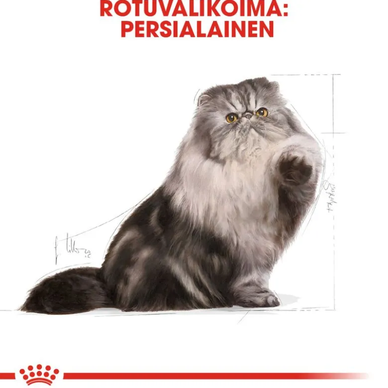 Royal Canin Persian Adult