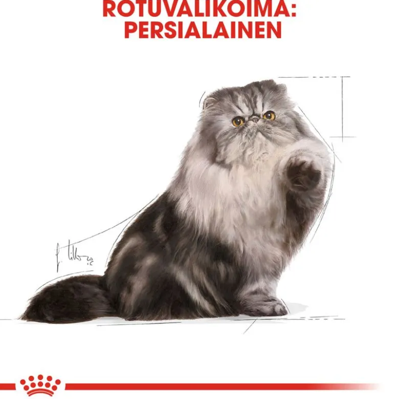 Royal Canin Persian Adult Mousse