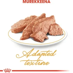 Royal Canin Persian Adult Mousse
