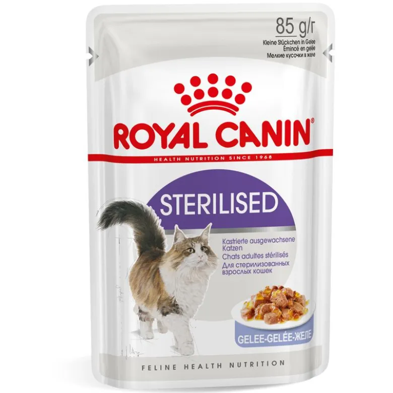Royal Canin -säästöpakkaus 24 x 85 g
