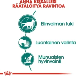 Royal Canin -säästöpakkaus 24 x 85 g