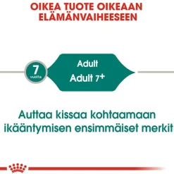 Royal Canin -säästöpakkaus 24 x 85 g