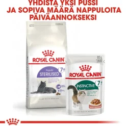 Royal Canin -säästöpakkaus 24 x 85 g