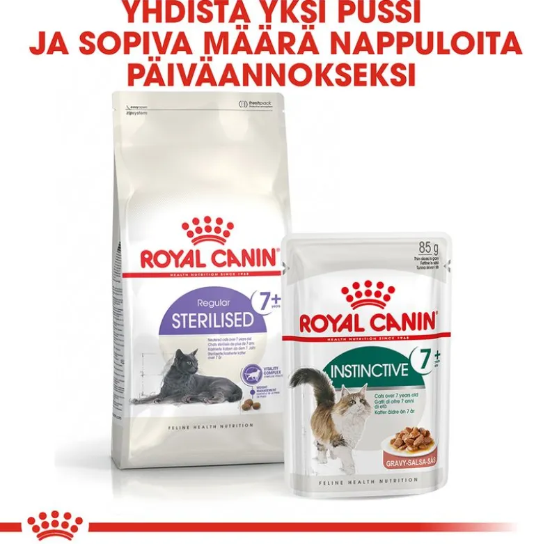 Royal Canin -säästöpakkaus 24 x 85 g
