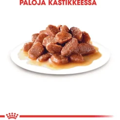 Royal Canin -säästöpakkaus 24 x 85 g