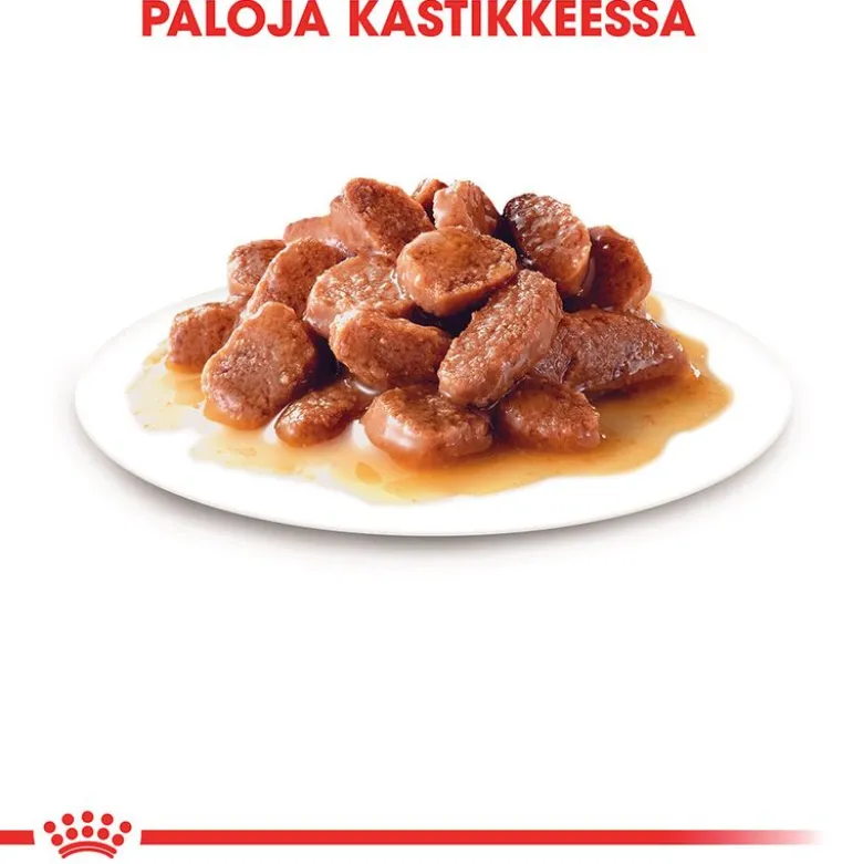 Royal Canin -säästöpakkaus 24 x 85 g