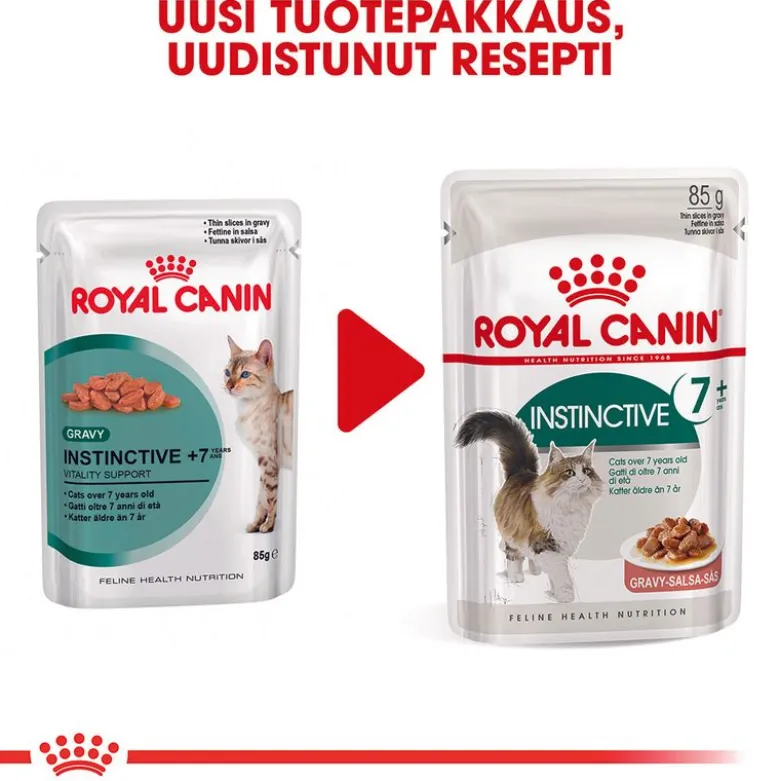 Royal Canin -säästöpakkaus 24 x 85 g