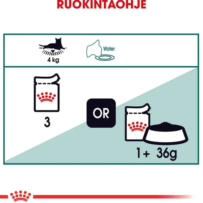 Royal Canin -säästöpakkaus 24 x 85 g