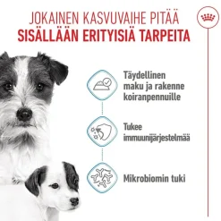 Royal Canin Starter Mother & Babydog Ultra Soft Mousse