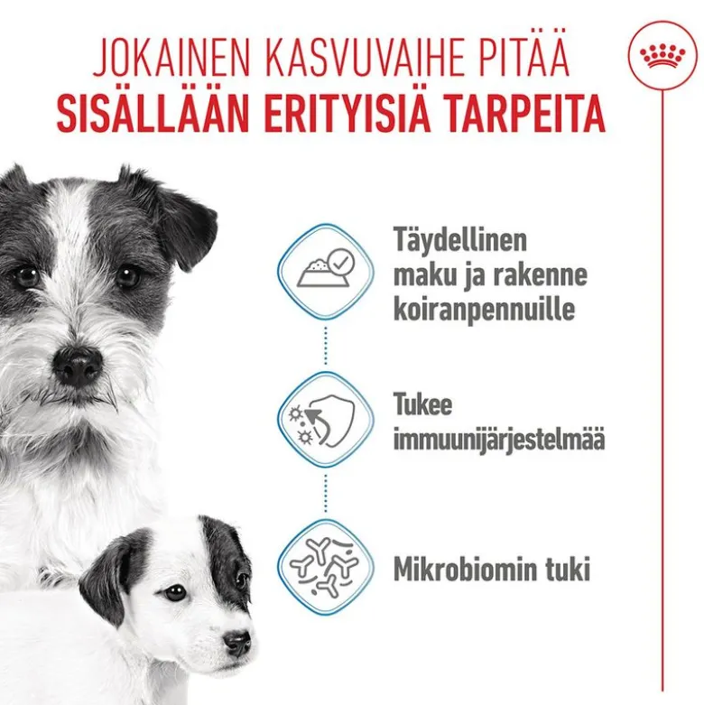 Royal Canin Starter Mother & Babydog Ultra Soft Mousse