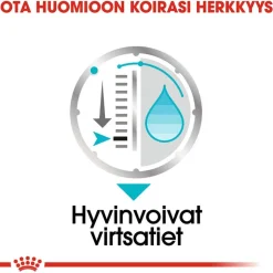 Royal Canin Urinary Care Mousse