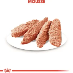 Royal Canin Urinary Care Mousse