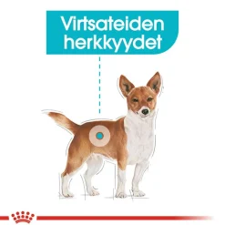 Royal Canin Urinary Care Mousse
