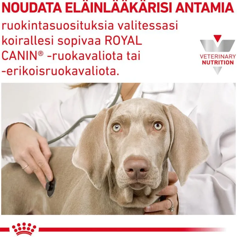 Royal Canin Veterinary Canine Hepatic Mousse