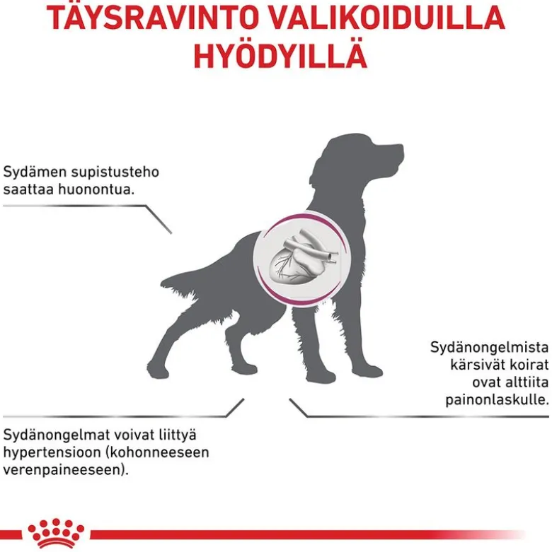 Royal Canin Veterinary Canine Cardiac Mousse