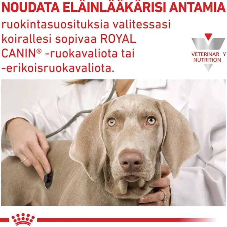 Royal Canin Veterinary Canine Cardiac Mousse