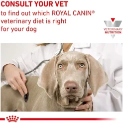 Royal Canin Veterinary Canine Hypoallergenic