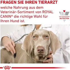 Royal Canin Veterinary Canine Anallergenic Small Dog