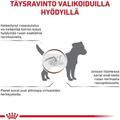 Royal Canin Veterinary Canine Gastrointestinal Low Fat pienikokoisille koirille