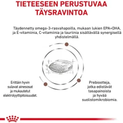 Royal Canin Veterinary Canine Gastrointestinal Low Fat pienikokoisille koirille