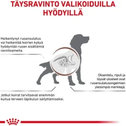 Royal Canin Veterinary Canine Gastrointestinal High Fibre