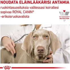 Royal Canin Veterinary Canine Early Renal