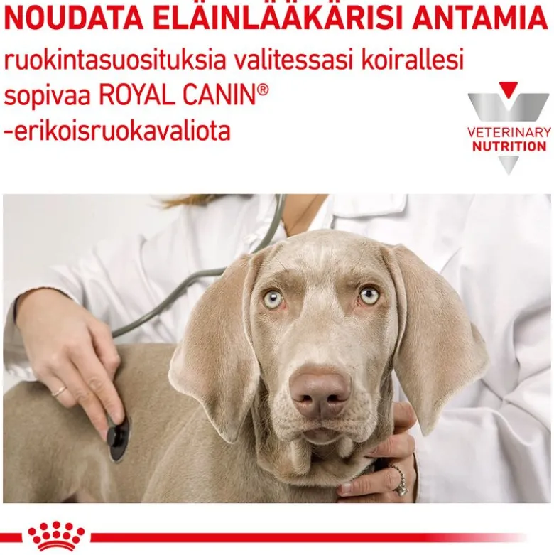 Royal Canin Veterinary Canine Early Renal