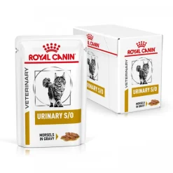 Royal Canin Veterinary Feline Urinary S/O kastike tai mousse