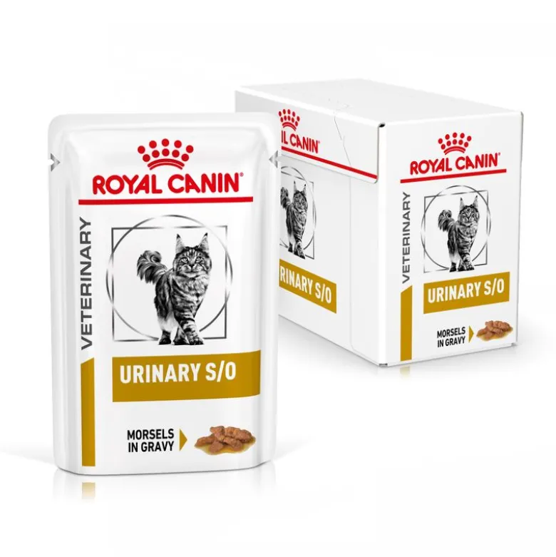Royal Canin Veterinary Feline Urinary S/O kastike tai mousse