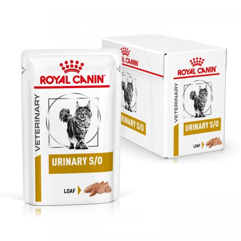 Royal Canin Veterinary Feline Urinary S/O kastike tai mousse
