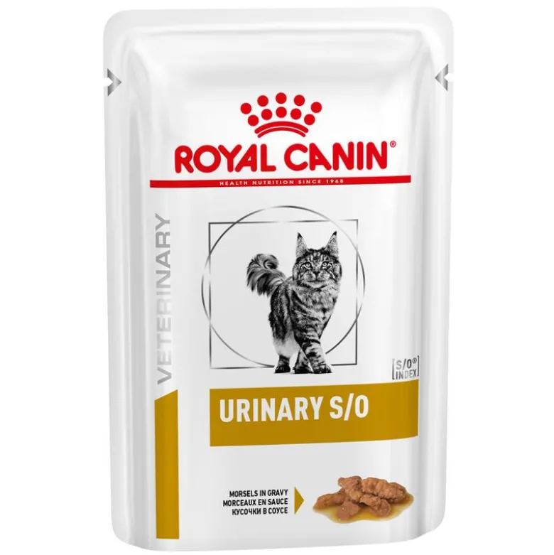 Royal Canin Veterinary Feline Urinary S/O kastike tai mousse