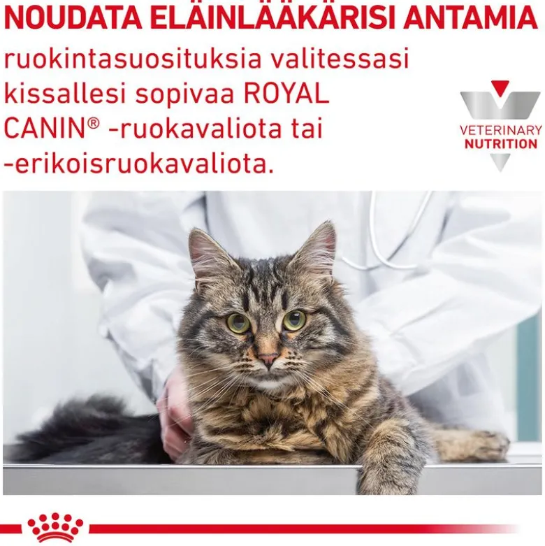 Royal Canin Veterinary Feline Gastrointestinal kastikkeessa