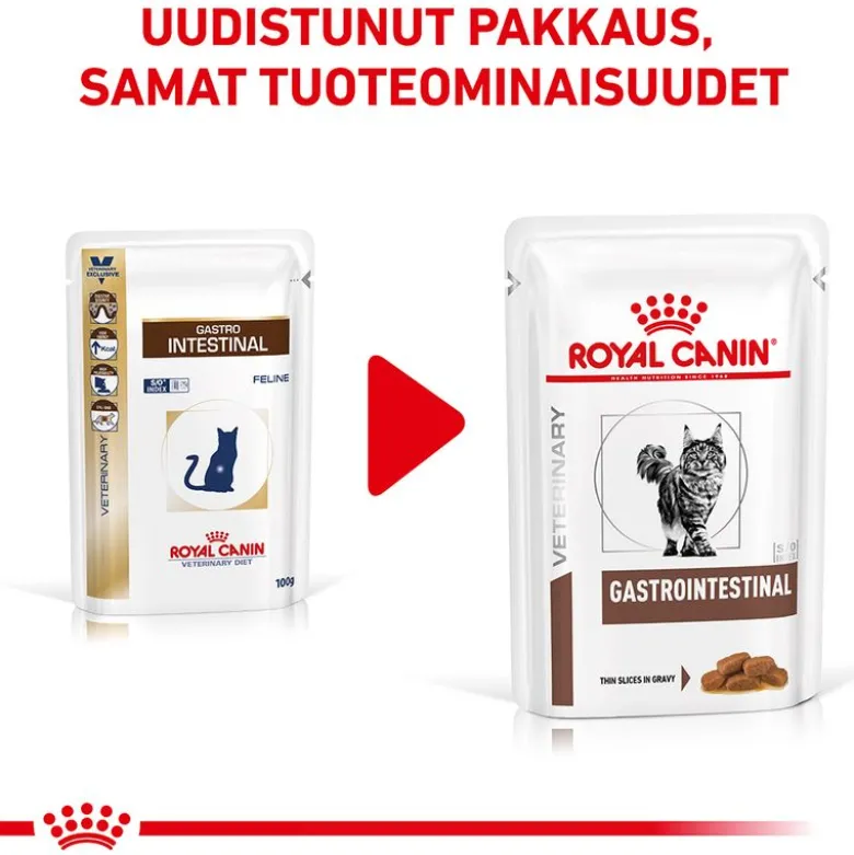 Royal Canin Veterinary Feline Gastrointestinal kastikkeessa