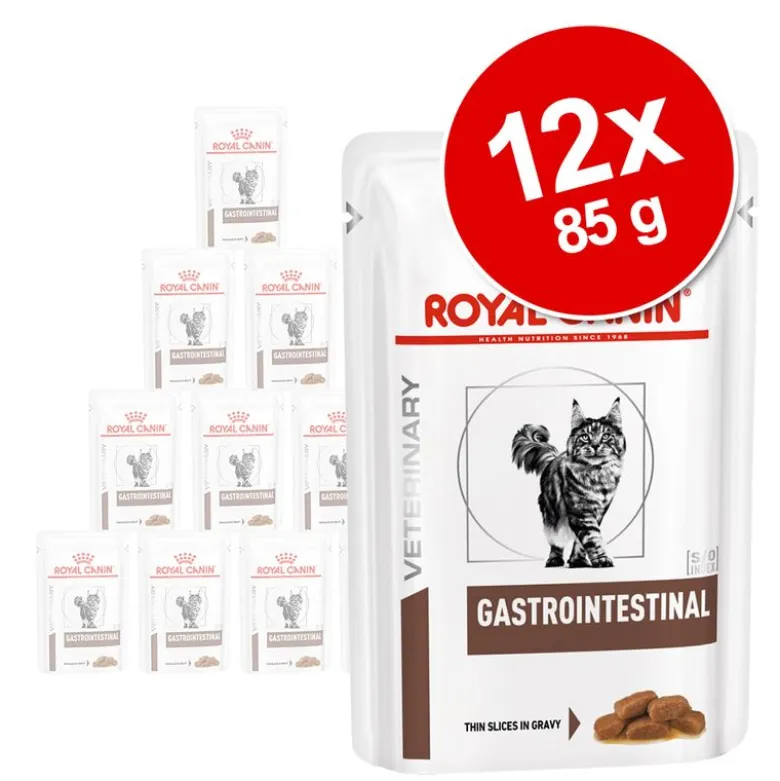 Royal Canin Veterinary Feline Gastrointestinal kastikkeessa
