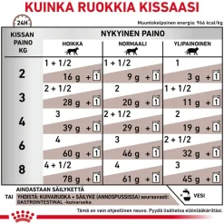 Royal Canin Veterinary Feline Gastrointestinal kastikkeessa