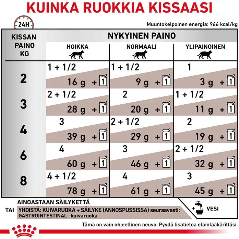Royal Canin Veterinary Feline Gastrointestinal kastikkeessa