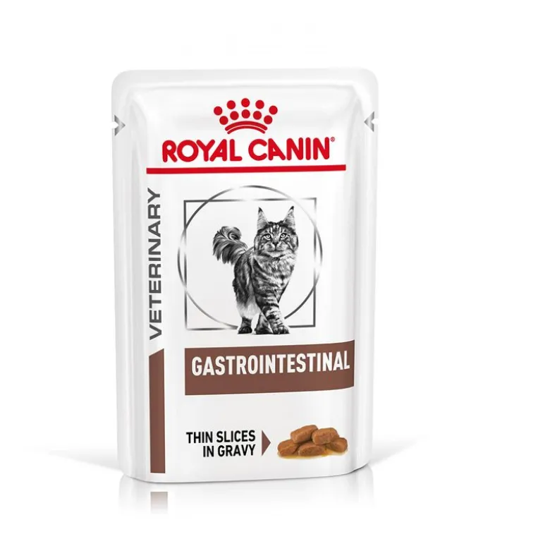 Royal Canin Veterinary Feline Gastrointestinal kastikkeessa