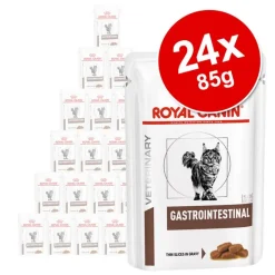 Royal Canin Veterinary Feline Gastrointestinal kastikkeessa