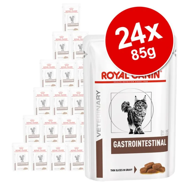 Royal Canin Veterinary Feline Gastrointestinal kastikkeessa