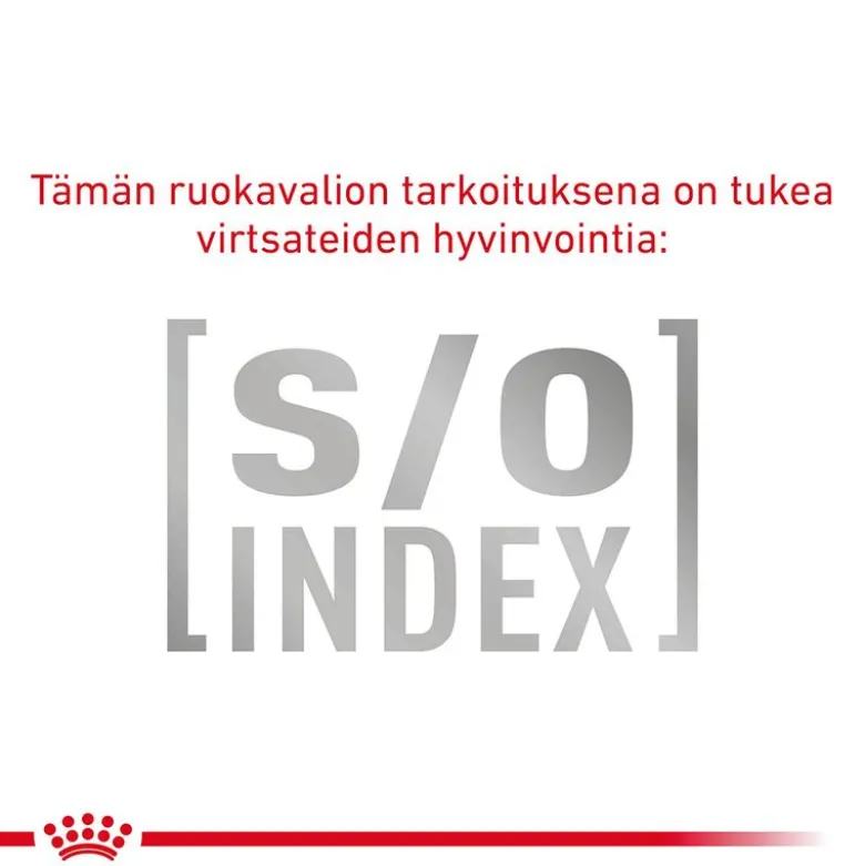 Royal Canin Veterinary Feline Gastrointestinal kastikkeessa